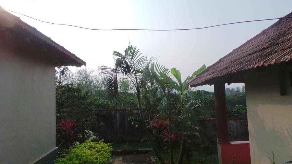 Golf View Cottages Madikeri Exteriör bild